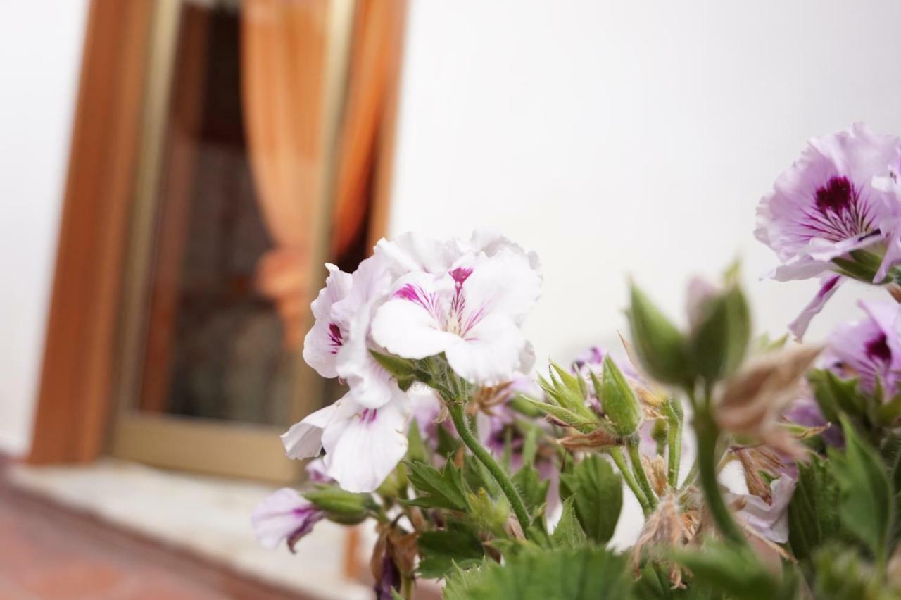 B&B Sikily Naxos Джардини-Наксос Экстерьер фото